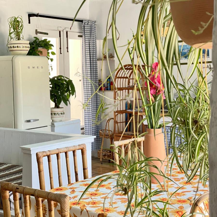 Casa vacanze Capurre Trulli E Pajare A Due Passi Dal Pizzo *