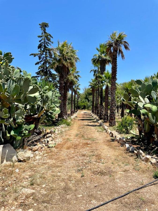 Casa vacanze Capurre Trulli E Pajare A Due Passi Dal Pizzo *